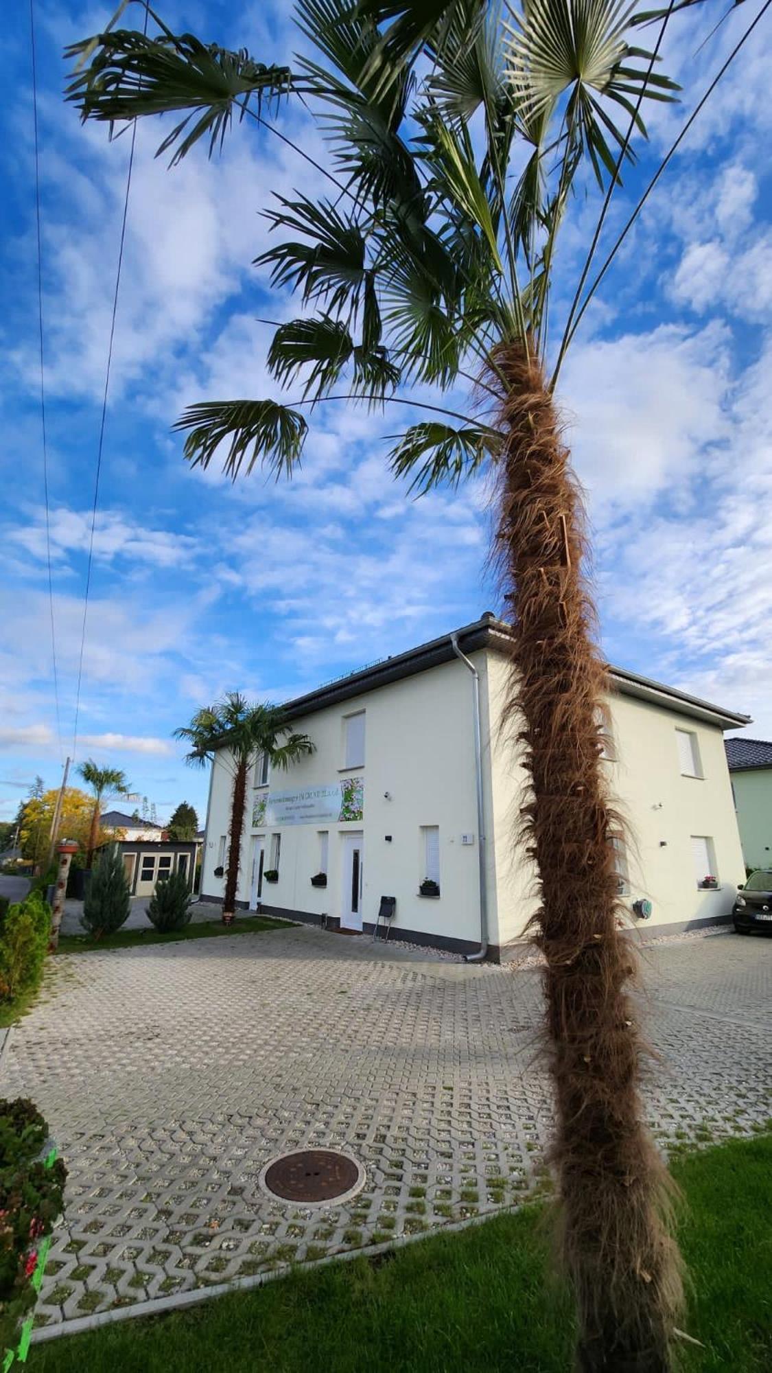 Ferienwohnungen Im Grund 22, 22A, 22C Birkenstein Hoppegarten Exteriér fotografie